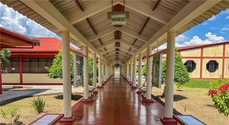 University campus with students